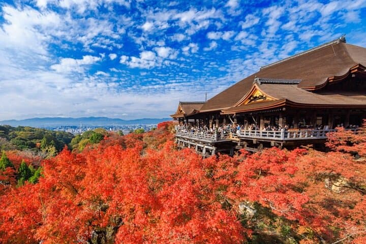 Kyoto & Uji: Full Day Sightseeing Tour from Osaka or Kyoto — photo 1