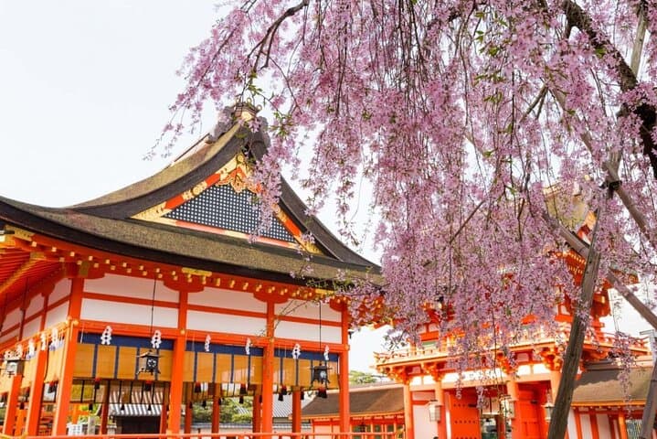 Full Kyoto Magical Experience 1 Day Tour — photo 1