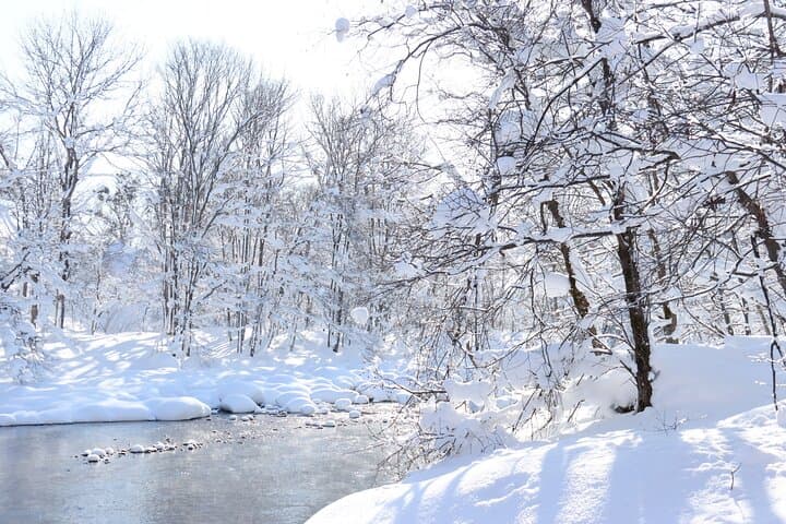Half Day - Snow View Rafting in Niseko — photo 6
