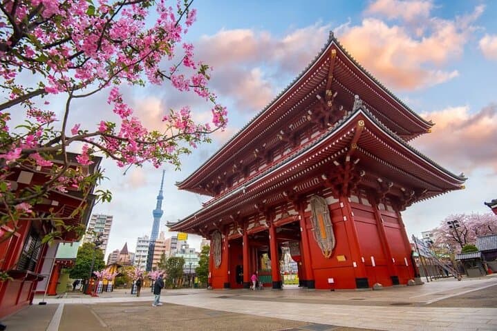 Tokyo Full Day Customize Private Tour with English Guide — photo 10