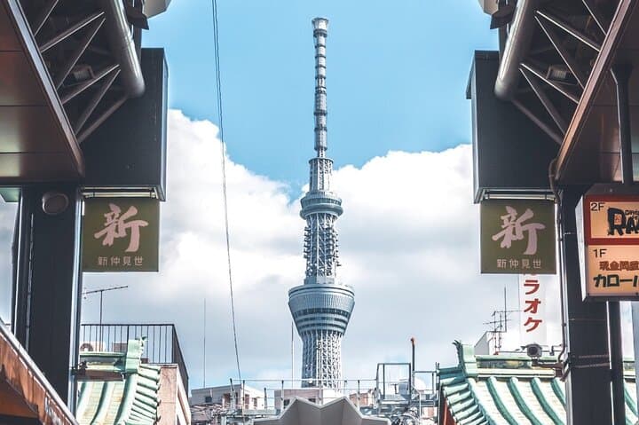 Tokyo Full Day Customize Private Tour with English Guide — photo 11