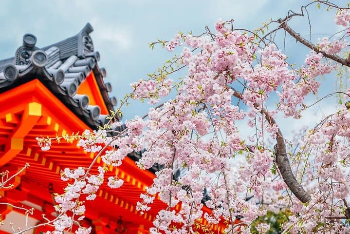 One-day tour of Kyoto temples and Uji matcha town — photo 10