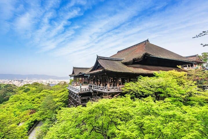 One-day tour of Kyoto temples and Uji matcha town — photo 3