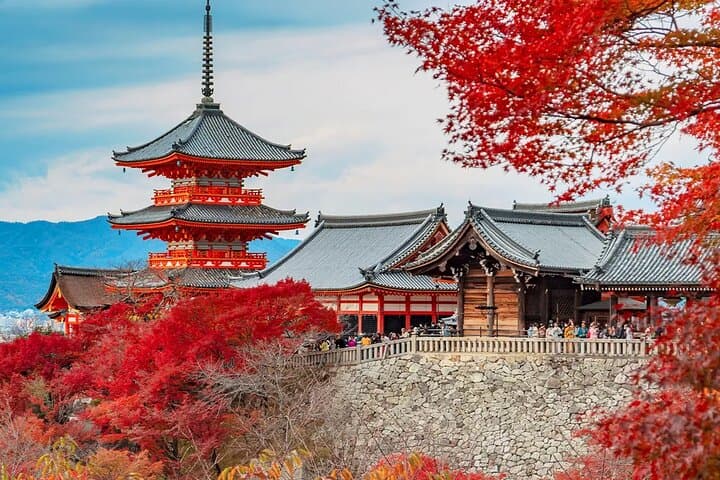 One-day tour of Kyoto temples and Uji matcha town — photo 2