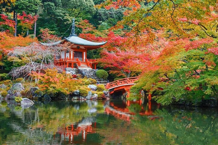One-day tour of Kyoto temples and Uji matcha town — photo 5