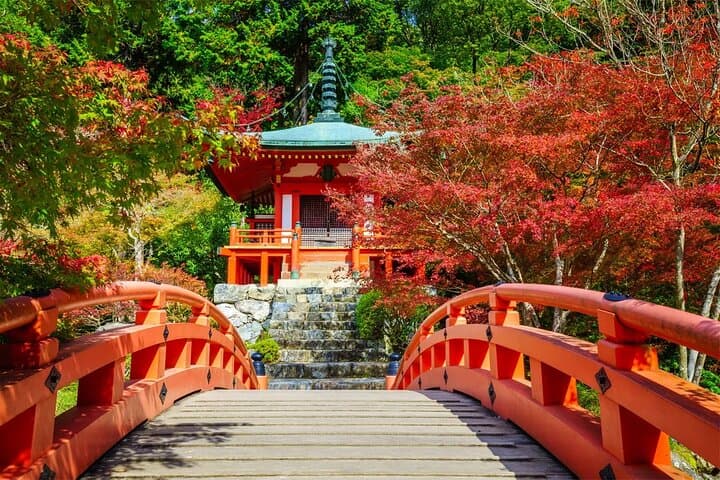 One-day tour of Kyoto temples and Uji matcha town — photo 12