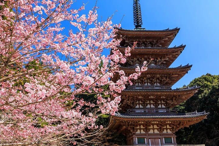One-day tour of Kyoto temples and Uji matcha town — photo 13