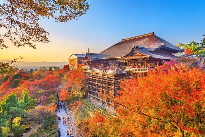 One-day tour of Kyoto temples and Uji matcha town — photo 11
