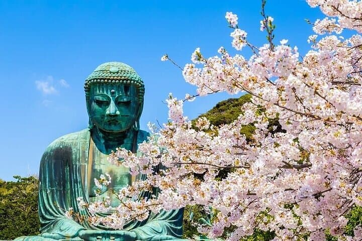 Kamakura, Enoshima & Kotoku-in Great Buddha from Tokyo (Private) — photo 2