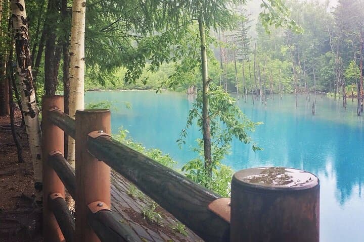 Private Day Trip to Asahiyama Zoo and Biei Blue Pond — photo 6