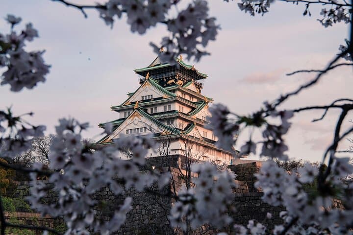 Osaka City Cherry Blossom Private Sightseeing Tour — photo 3