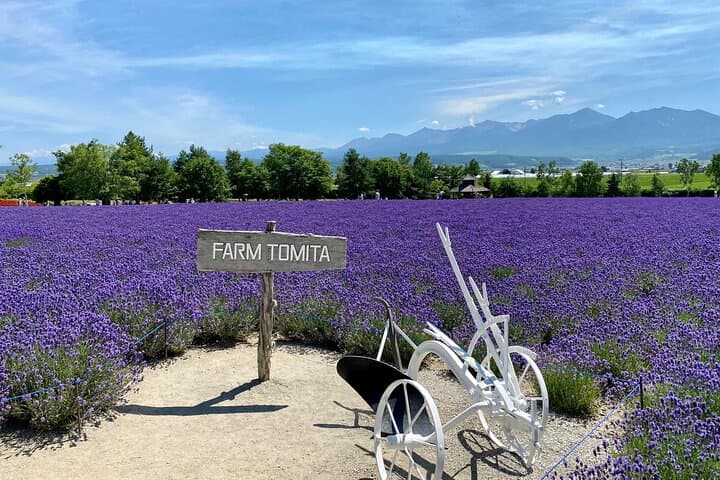Furano & Biei Private Tour：Custom Scenic Route（from Sapporo） — photo 9