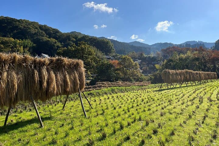Private 2 Days Tour in Asuka Village Hidden Gems of Nara — photo 5