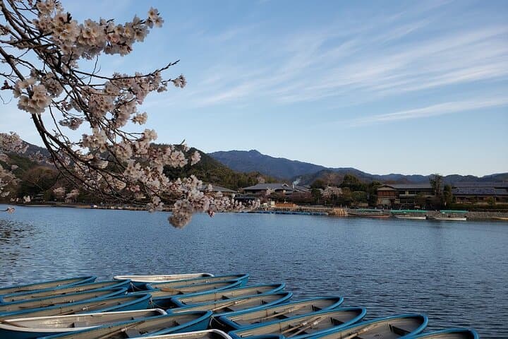 From Kyoto / Osaka: Kyoto Must-see Spots & Nara Park One Day Tour — photo 16