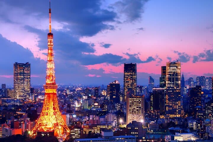 3 to 5 Hours Private Customizable Tour in Tokyo with Local Guide — photo 1