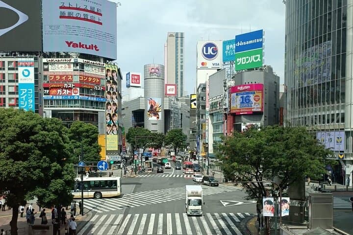3 to 5 Hours Private Customizable Tour in Tokyo with Local Guide — photo 2