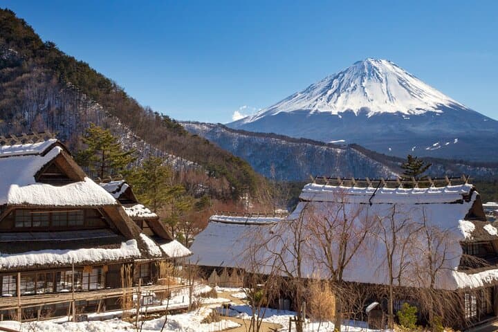 Mt. Fuji Hidden Gems & Aokigahara Forest Private Tour — photo 3