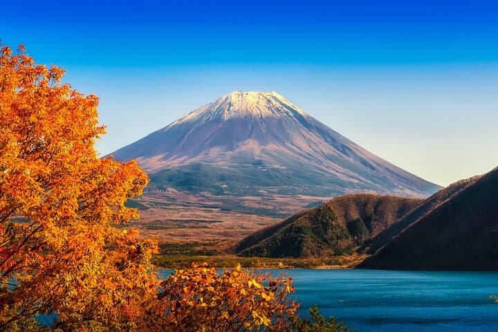 Mt. Fuji Hidden Gems & Aokigahara Forest Private Tour — photo 6