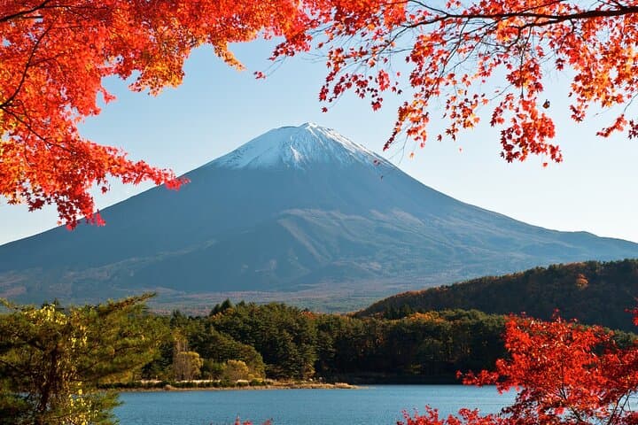 Mt. Fuji Hidden Gems & Aokigahara Forest Private Tour — photo 8