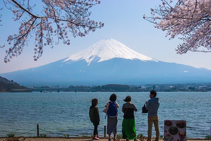 Mt. Fuji Hidden Gems & Aokigahara Forest Private Tour — photo 2