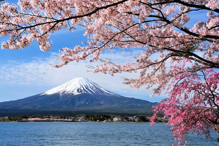 Discover Mt. Fuji area & Lake Kawaguchiko Sightseeing Day Tour — photo 14