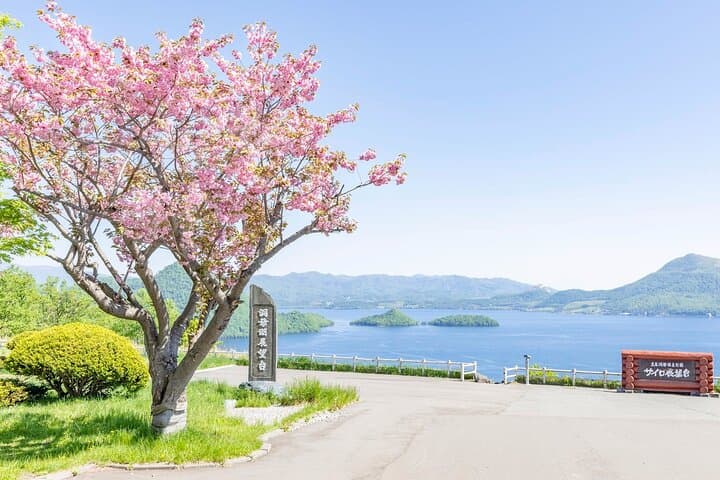 Hokkaido: Lake Toya, Bear Ranch and Sapporo Otaru Full Day Tour — photo 5