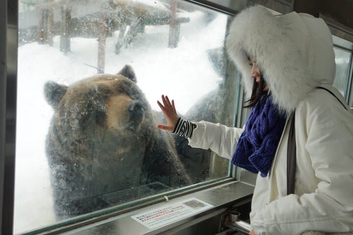 Hokkaido: Lake Toya, Bear Ranch and Sapporo Otaru Full Day Tour — photo 6
