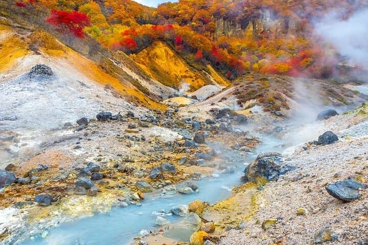 Hokkaido: Lake Toya, Bear Ranch and Sapporo Otaru Full Day Tour — photo 9