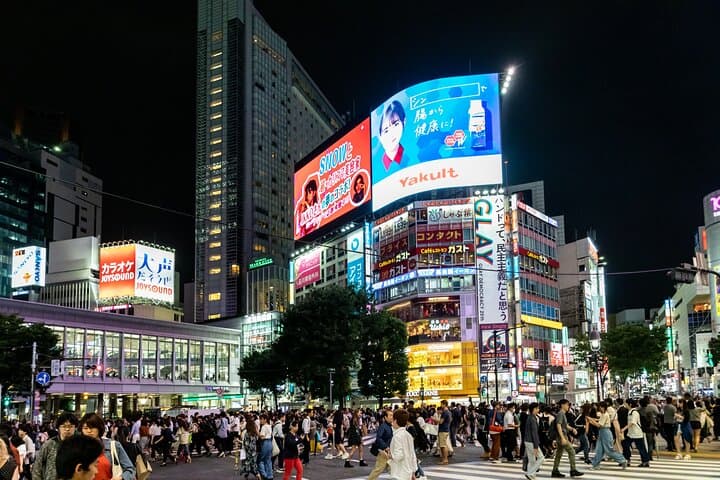 Tokyo Private Night Tour with a Local – Bars, Drinks & Culture — photo 7
