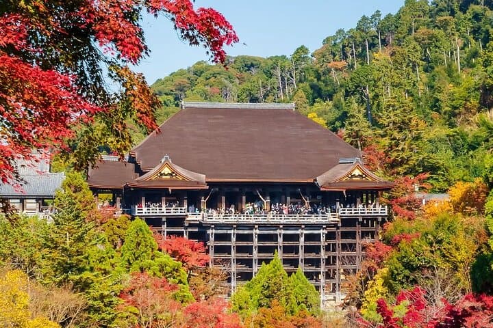 Kyoto & Uji: Full Day Sightseeing Tour from Osaka or Kyoto — photo 2