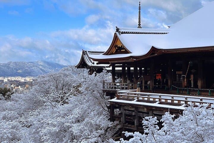Kyoto & Uji: Full Day Sightseeing Tour from Osaka or Kyoto — photo 13