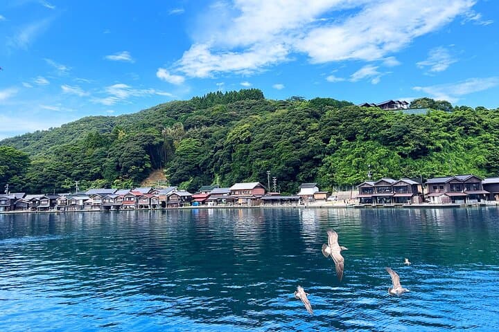 Amanohashidate & Ine Boathouse Full-Day Tour from Kyoto or Osaka — photo 10