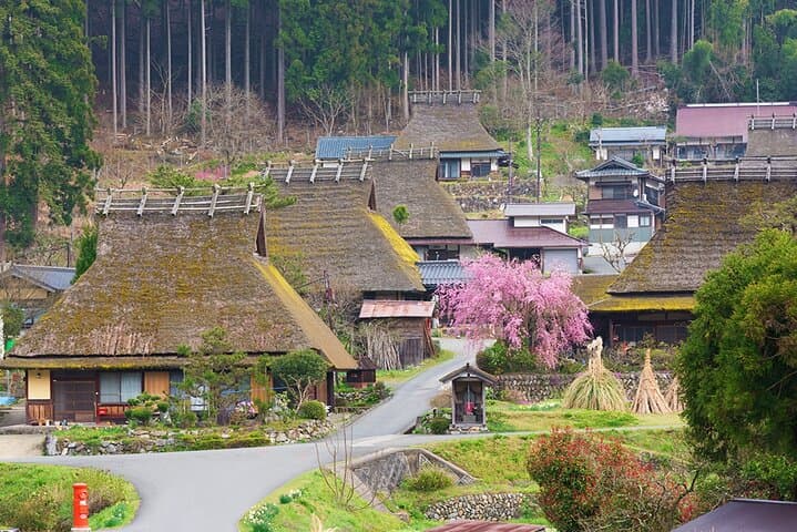 Kyoto Ine Bay, Amanohashidate and Miyama Village Tour From Osaka — photo 7