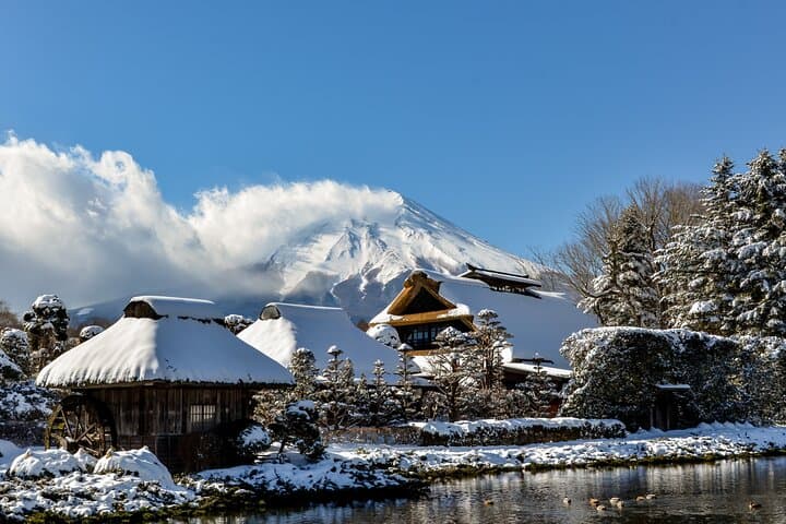 1 Day short excursion to Mt Fuji with a private van — photo 11