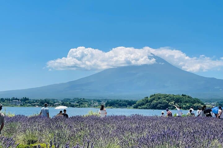 1 Day short excursion to Mt Fuji with a private van — photo 1