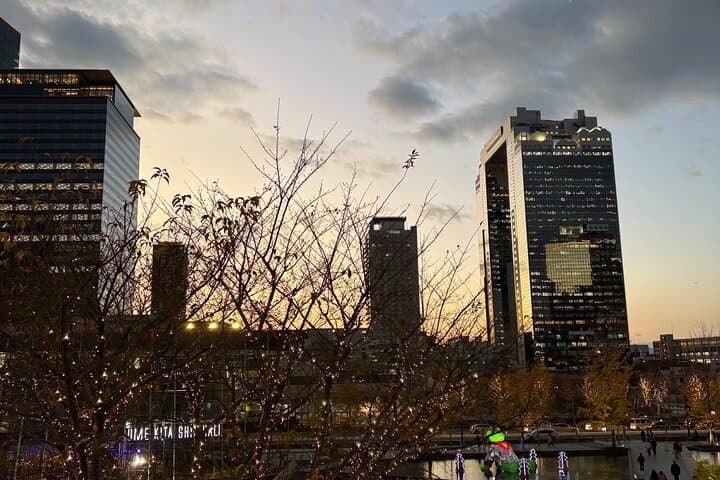 Osaka City Highlights Walking Tour! — photo 17