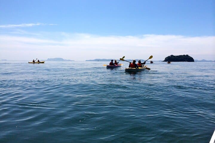 Uninhabited Island Kayak Cruise and Adventure in Seto Inland Sea — photo 10