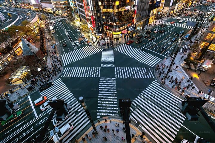 Tokyo Highlights Private Full Day City Tour With English Guide — photo 10