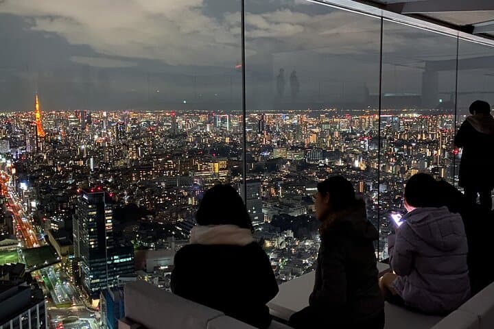Tokyo Highlights Private Full Day City Tour With English Guide — photo 14