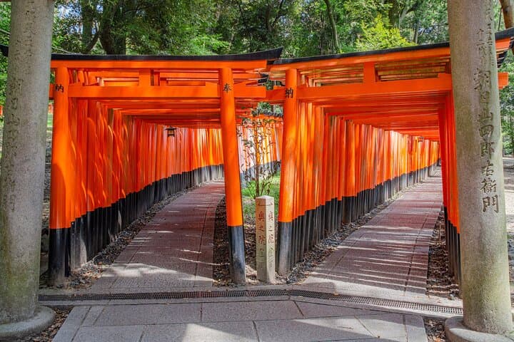 Osaka / Kyoto: Todai-ji, Nara Park, Fushimi Inari and Byodo-in — photo 19
