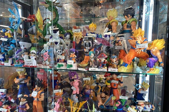 Tokyo Akihabara Anime Manga Video Games and Hidden Gems Tour — photo 5