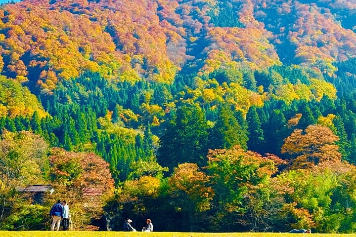 Gifu: Private Guided Tour of Shirakawa-go — photo 11
