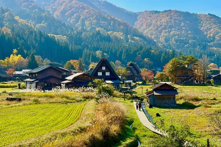Gifu: Private Guided Tour of Shirakawa-go — photo 10
