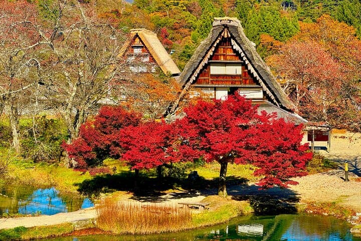 Gifu: Private Guided Tour of Shirakawa-go — photo 3