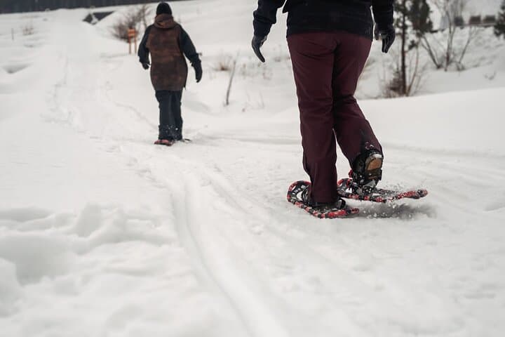 Private Takane Snow Adventure Tour — photo 4