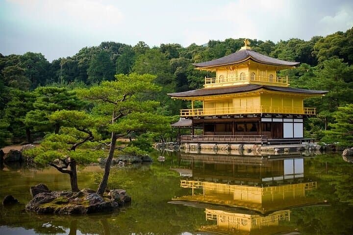 Kyoto and Nara Day Tour with Wagyu “Kobe Beef” lunch: From Kyoto — photo 6