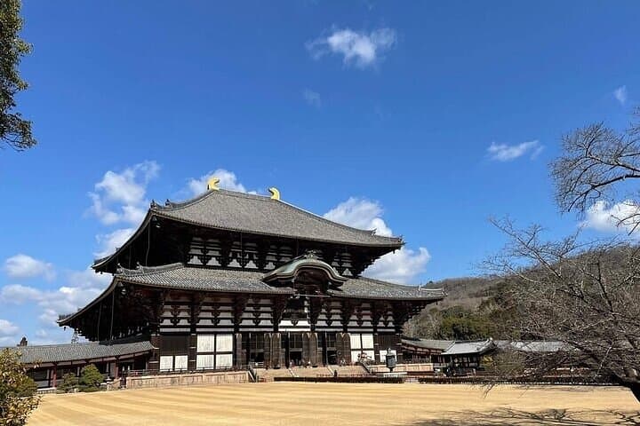 Kyoto and Nara Day Tour with Wagyu “Kobe Beef” lunch: From Kyoto — photo 9