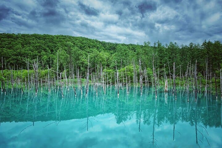 Furano & Biei Private Tour：Custom Scenic Route（from Sapporo） — photo 10
