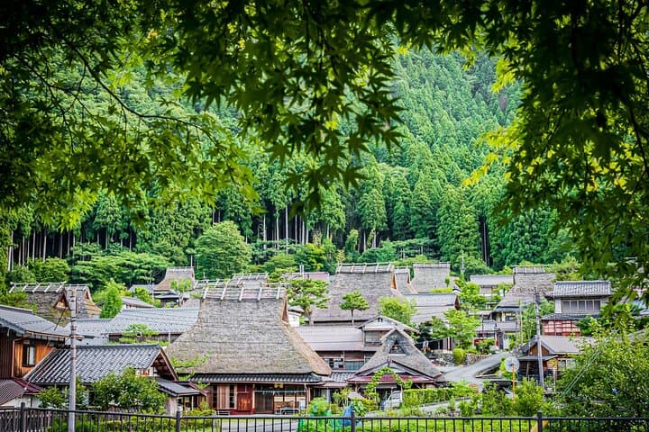Miyama Kayabuki no Sato 1 Day Tour from Osaka or Kyoto — photo 8