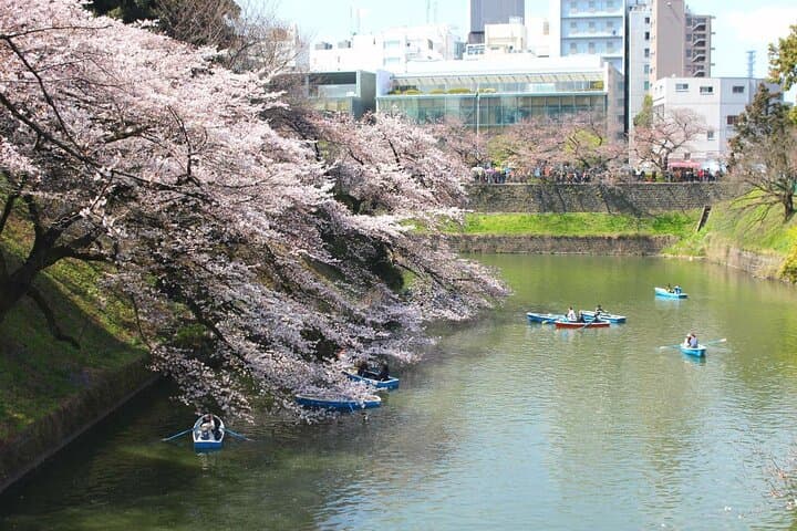 Tokyo Castle & Imperial PalaceーShogun Walking Tour — photo 17